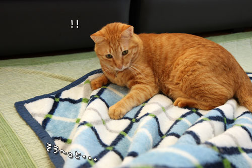 掃除の敵は。_d0355333_19440064.jpg