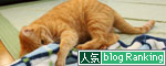 掃除の敵は。_d0355333_19440169.jpg