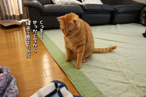 掃除の敵は。_d0355333_19440191.jpg