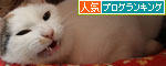菜々子便り_d0355333_19440424.jpg