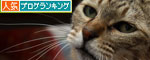 猫にしかわからない_d0355333_19440507.jpg