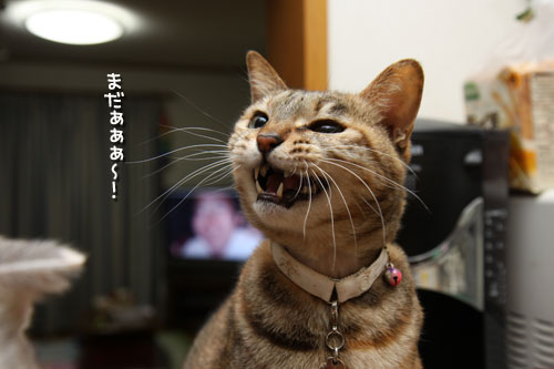 我が家のクリスマスパーティ_d0355333_19441156.jpg