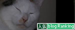 菜々子便り_d0355333_19441961.jpg