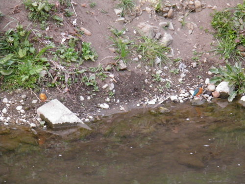 c0338136_11564028.jpg