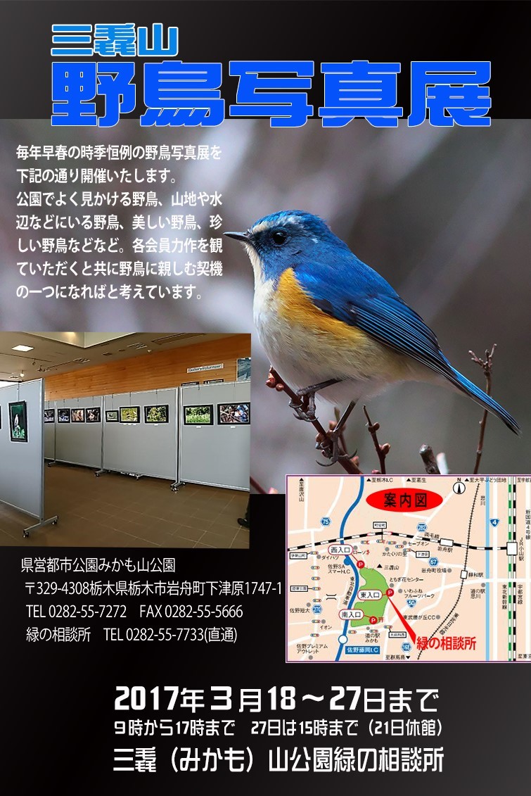 野鳥写真展開催のお知らせ_c0304040_20183659.jpg