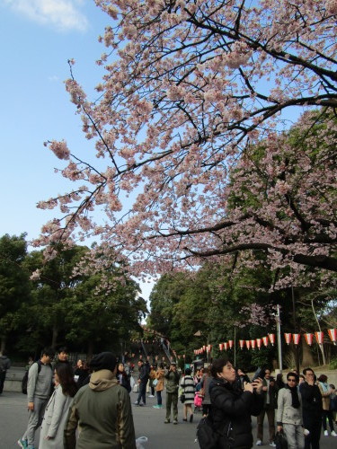 f0117041_14114184.jpg