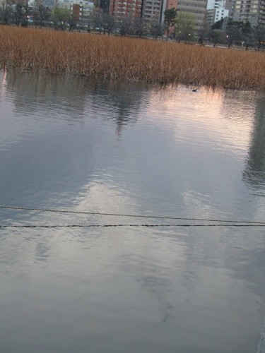 f0117041_14120923.jpg