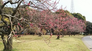 b0080342_21490817.jpg