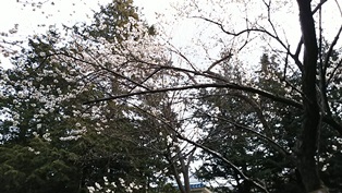 b0080342_21492600.jpg