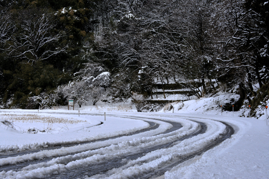 c0093046_8254511.gif