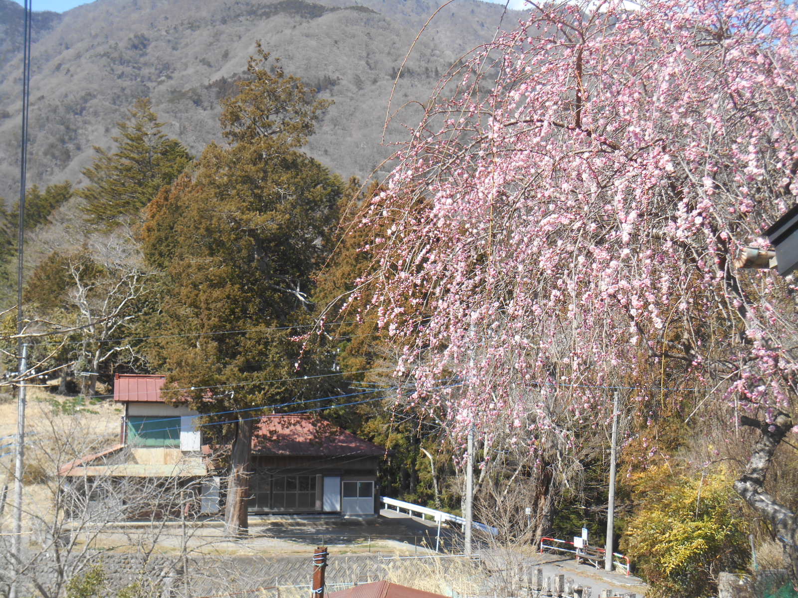 e0297347_2058395.jpg