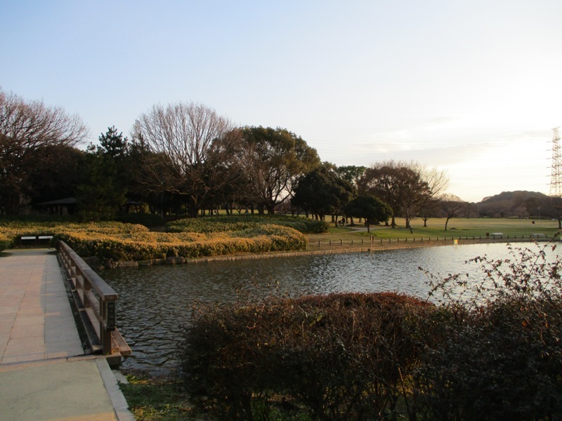 Emperor Nintoku’s tomb, museum, and Daisen Park・・・・ nice place to visit!_e0046748_00104070.jpg