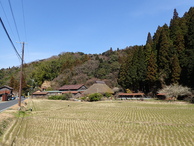 f0214649_04054166.jpg