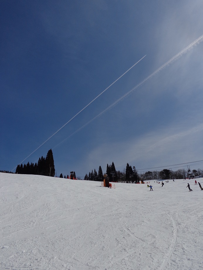 a0055650_12232846.jpg