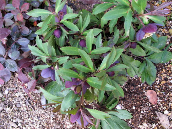 c0147952_23204068.jpg