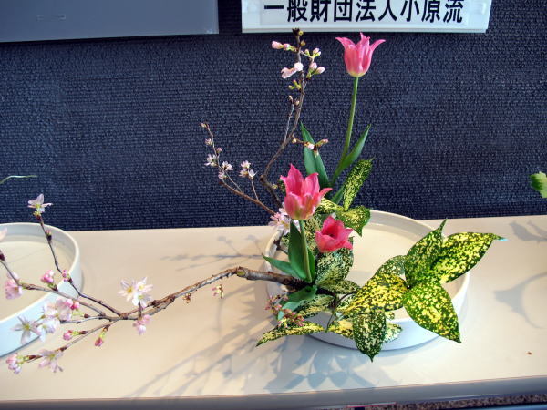 c0147952_23220007.jpg