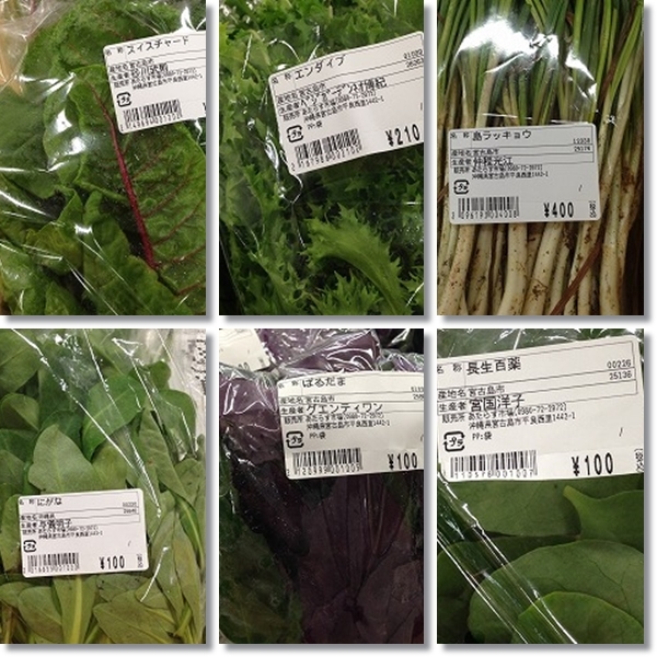 沖縄の旅 その8 珍しい植物 野菜 果物 あじさい通信 ブログ版 沖縄の旅 その8 珍しい植物 野菜 果物 あじさい通信 ブログ版