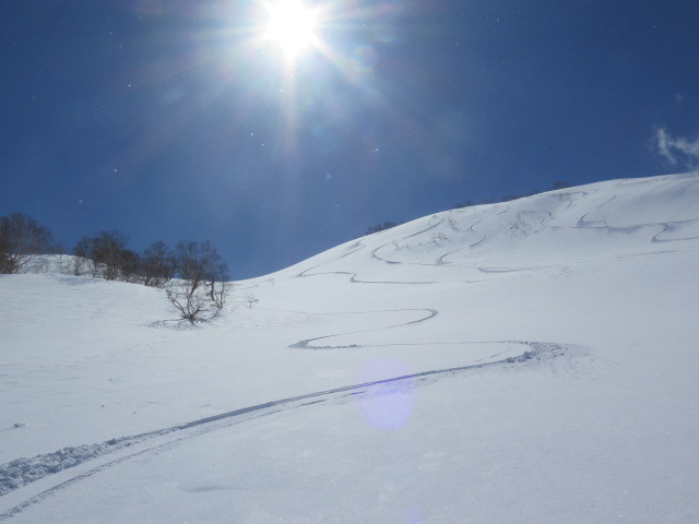 c0116856_20281491.jpg