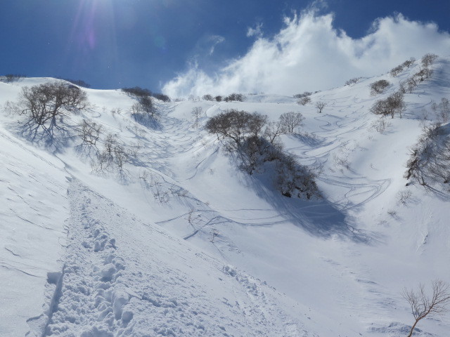 c0116856_20282775.jpg