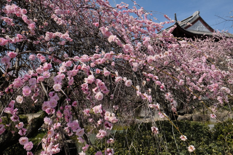 b0277257_11493491.jpg