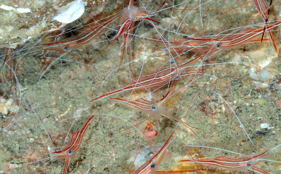 e0158261_12371012.jpg