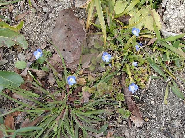 b0044663_21573669.jpg