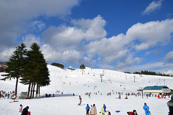 2017年冬 4家族での北近畿の旅_e0164563_09432918.jpg