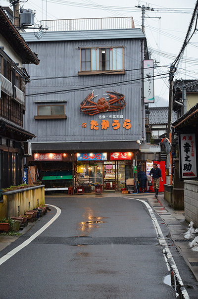 2017年冬 4家族での北近畿の旅_e0164563_09434436.jpg