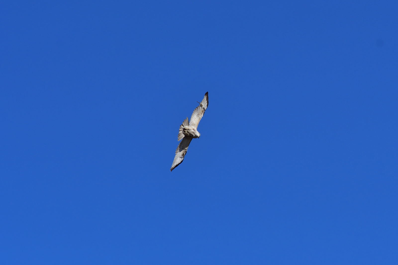 b0346568_16573733.jpg