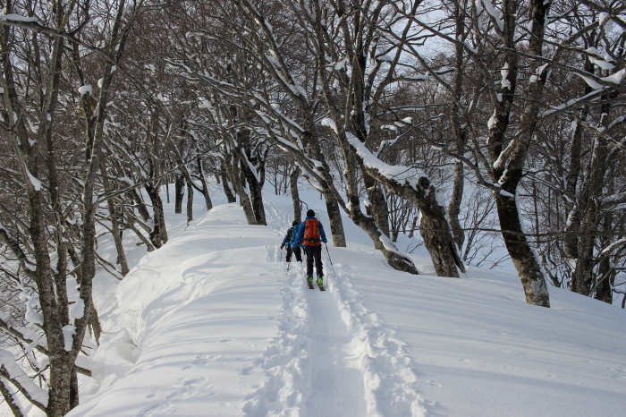 3月12日　　金剛堂山から小白木峰_f0223068_12435311.jpg