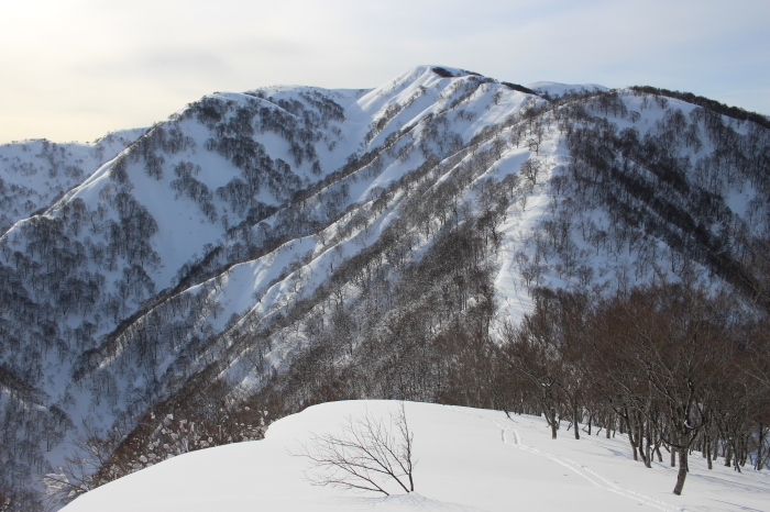 3月12日　　金剛堂山から小白木峰_f0223068_12475772.jpg