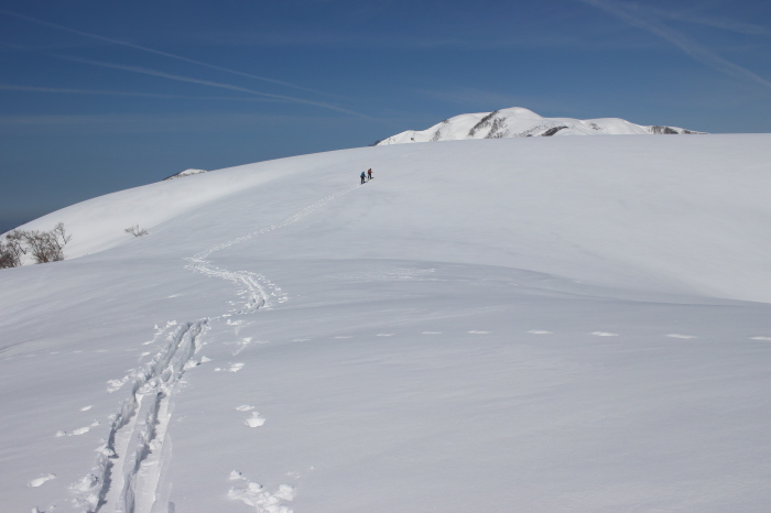 3月12日　　金剛堂山から小白木峰_f0223068_13350859.jpg