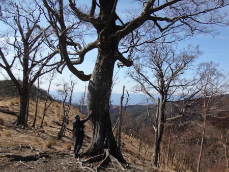 白髪岳・陀来水岳（熊本県あさぎり町）_d0182075_09175696.jpg