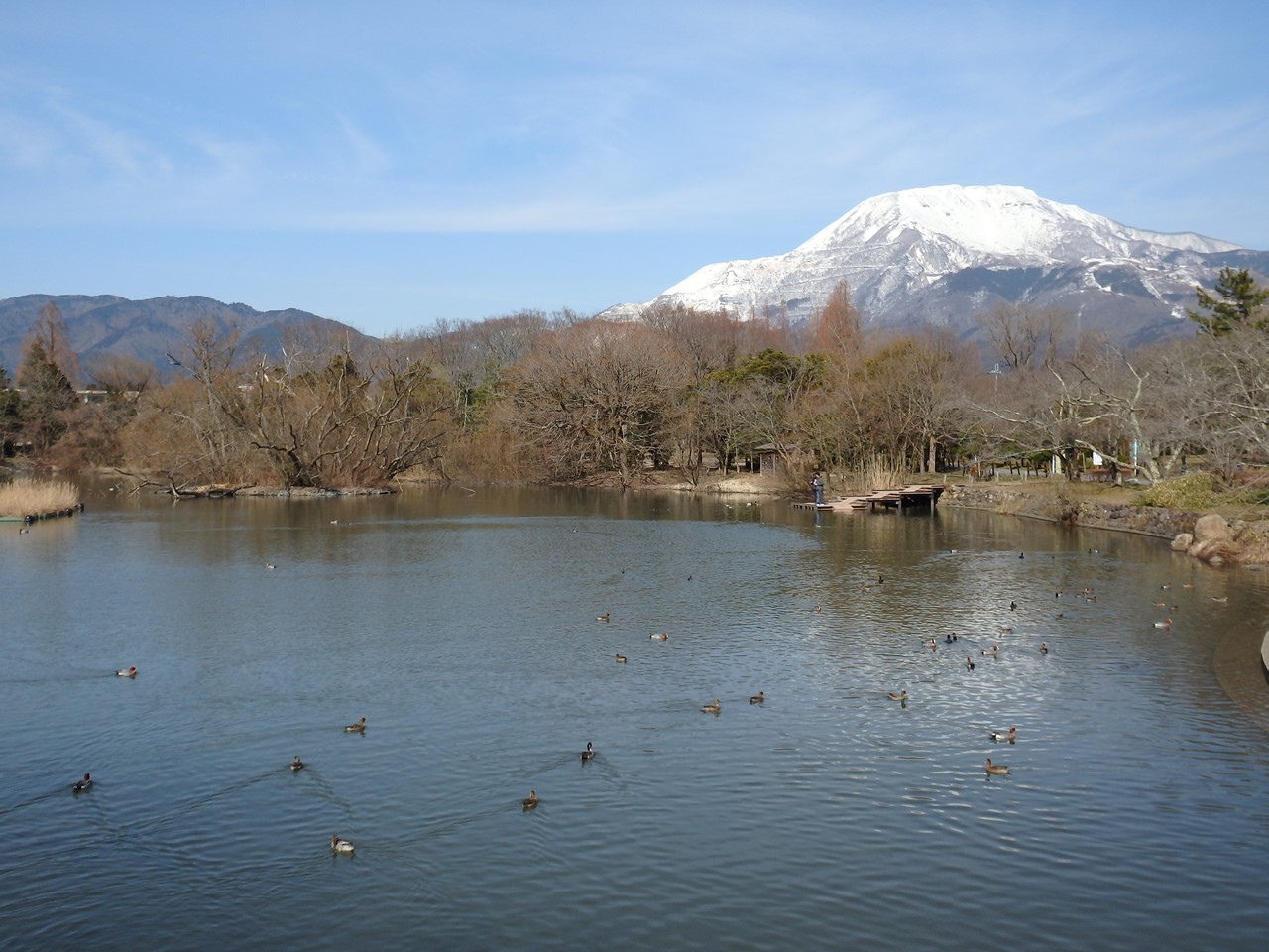 『伊吹野から三島池へ･･･』_d0054276_20382221.jpg