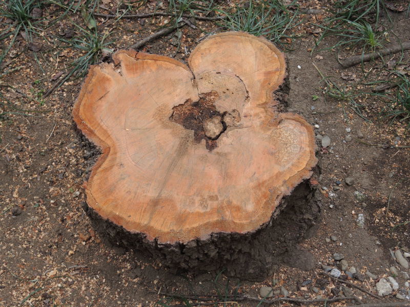 e0232277_10414680.jpg