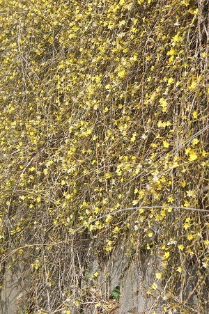 d0179679_13183110.jpg