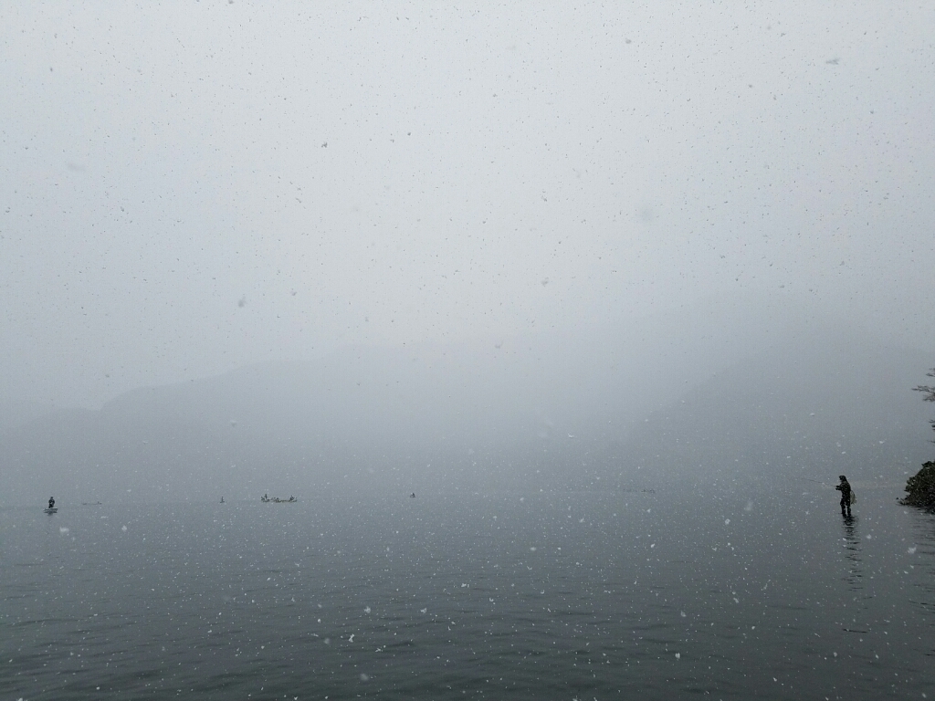 f0199881_20540790.jpg