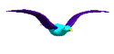 b0364186_19230993.gif