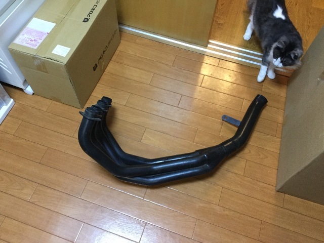 a0186689_21263991.jpg
