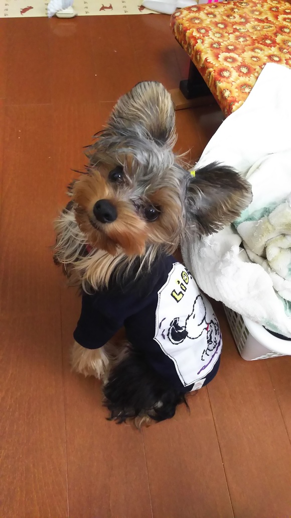 c0191390_21541850.jpg