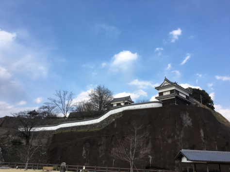 大分・臼杵市への、出張指圧治療。_a0112393_12465675.jpg