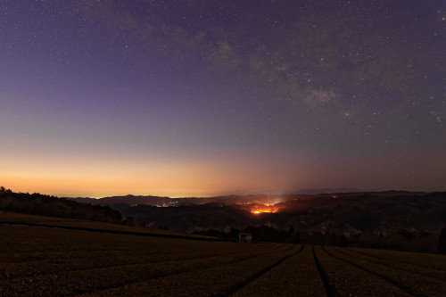 天の川～茶畑の夜明け_e0366896_21590982.jpg