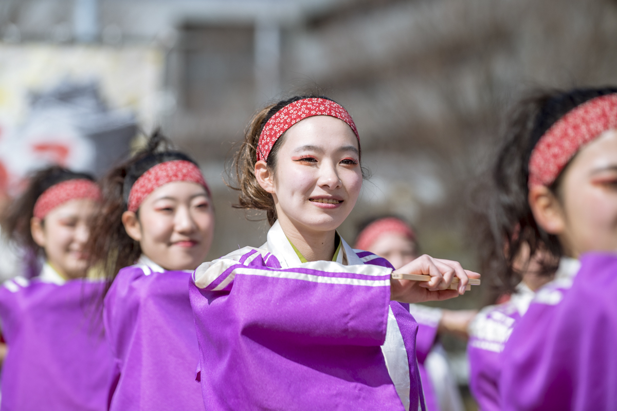 2017　浜松がんこ祭_f0184198_21591406.jpg