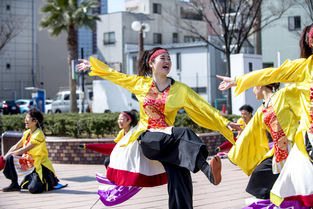 2017　浜松がんこ祭_f0184198_21594617.jpg