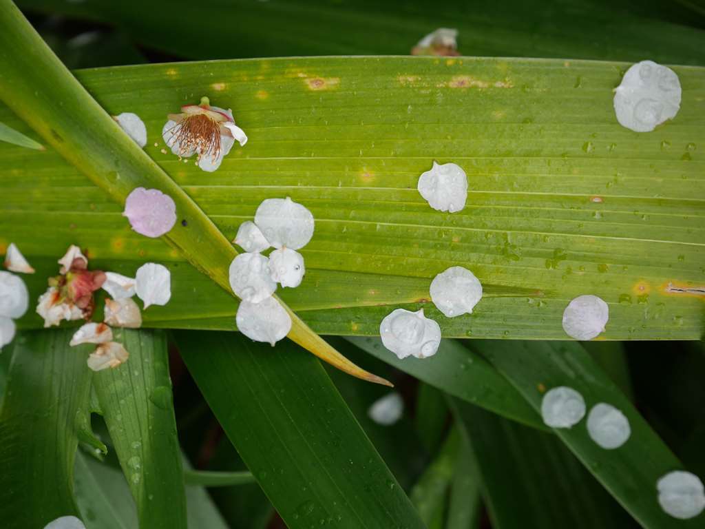 f0224100_23203976.jpg