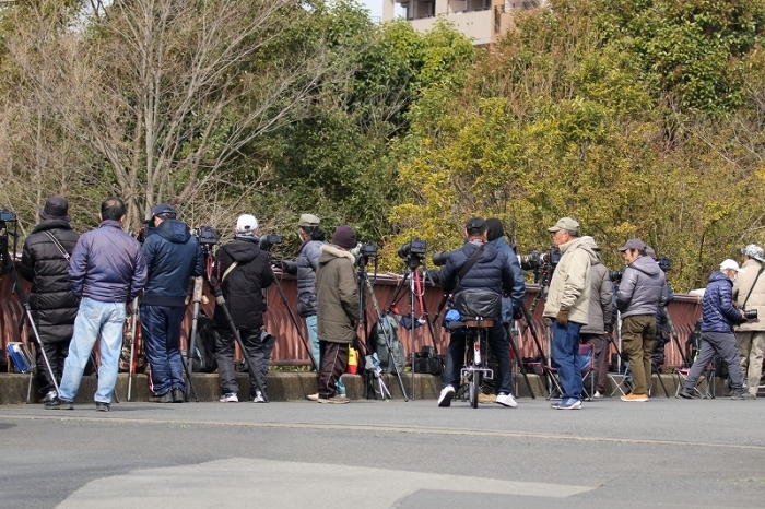 すました顔してゴックン！！（葛飾区、水元公園、かわせみの里）_b0291402_05512145.jpg