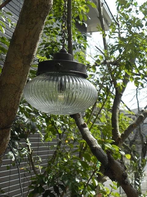 c0152002_18320094.jpg