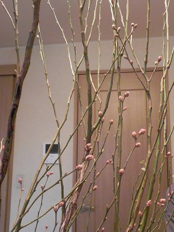 c0152002_18372973.jpg