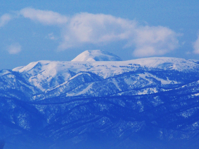 e0366902_1158484.jpg