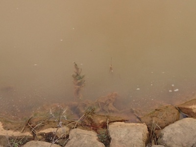 f0082402_20120406.jpg